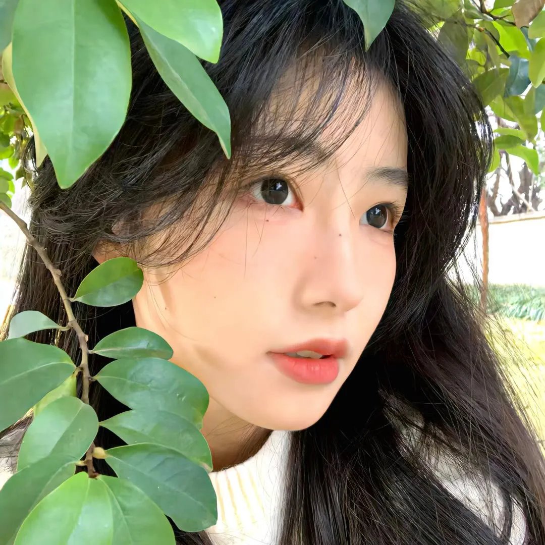 淑女思春